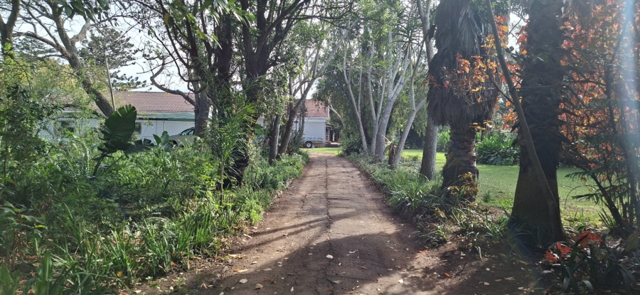 Commercial Property for Sale in Meisies Halt Eastern Cape